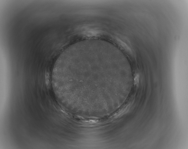 X0000111661156200908281104