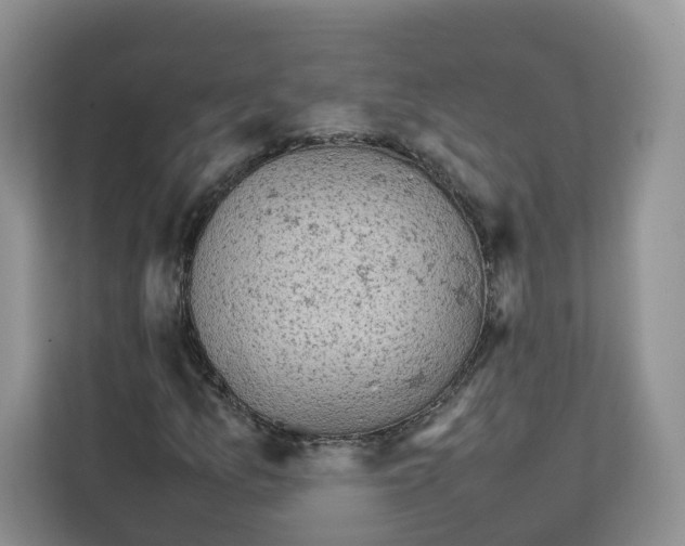 X0000111661157200908281104