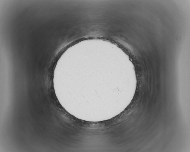 X0000111661160200908281103