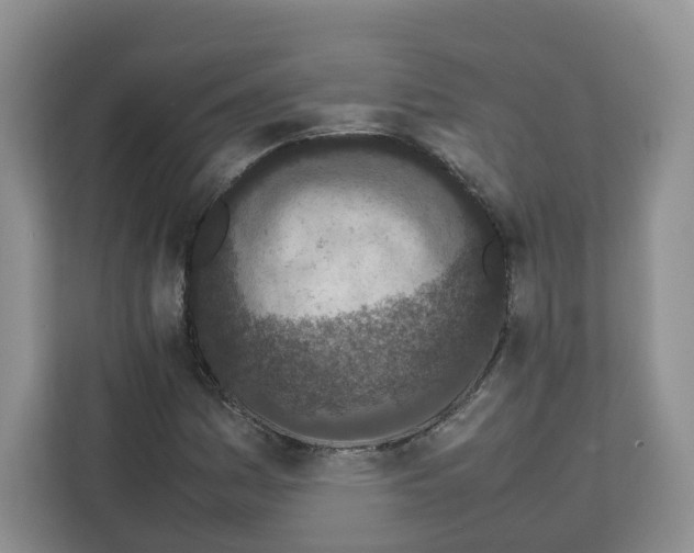 X0000111661161200908281103