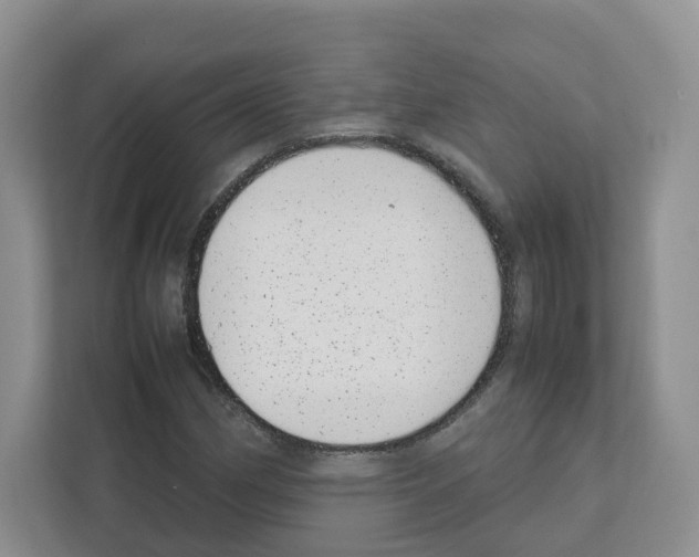 X0000111661162200908281103