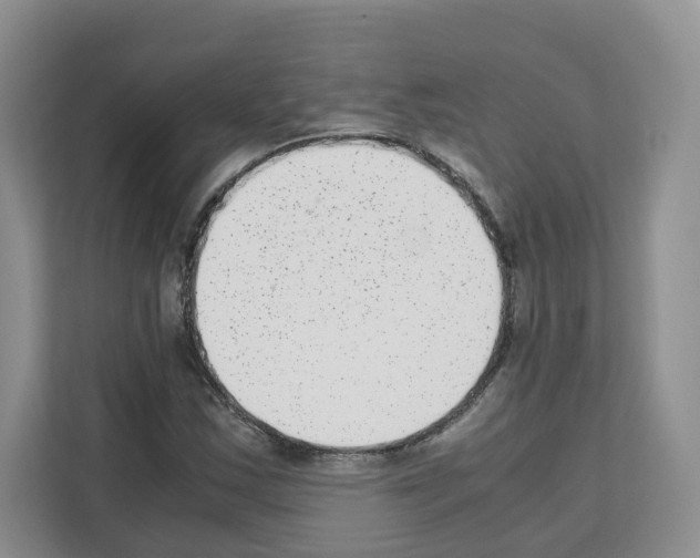 X0000111661163200908281103