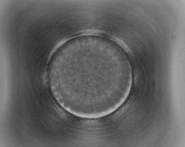 X0000111661164200908281103