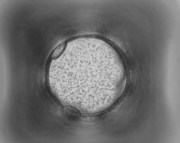 X0000111661165200908281103