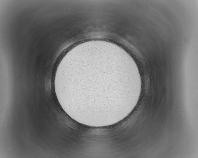 X0000111661166200908281103