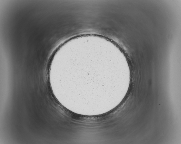 X0000111661167200908281103