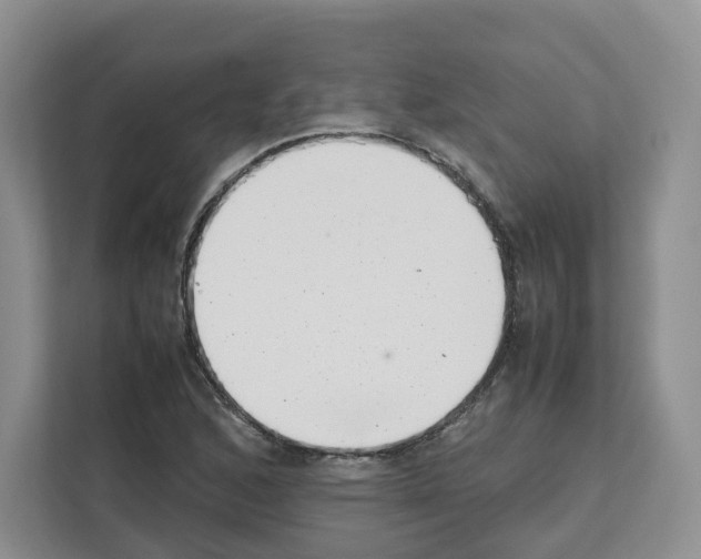 X0000111661168200908281103