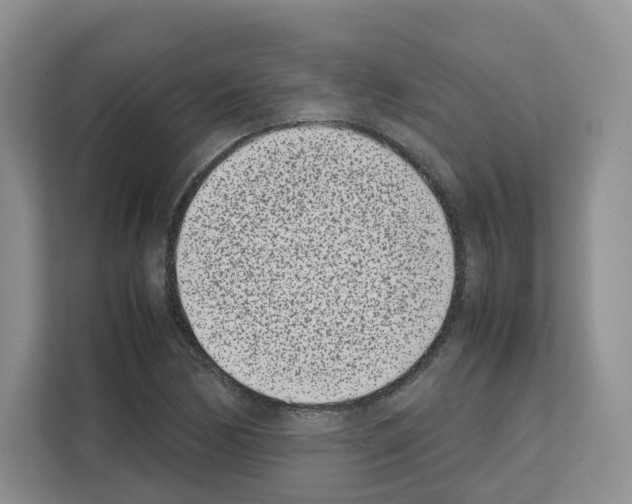 X0000111661170200908281103