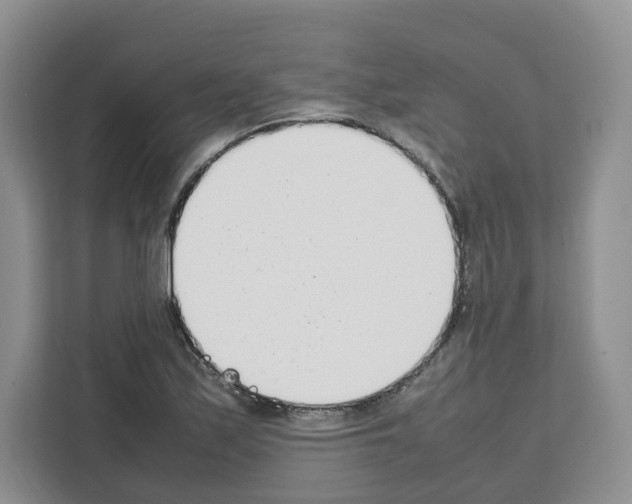 X0000111661171200908281103