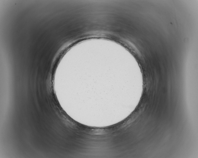 X0000111661172200908281103