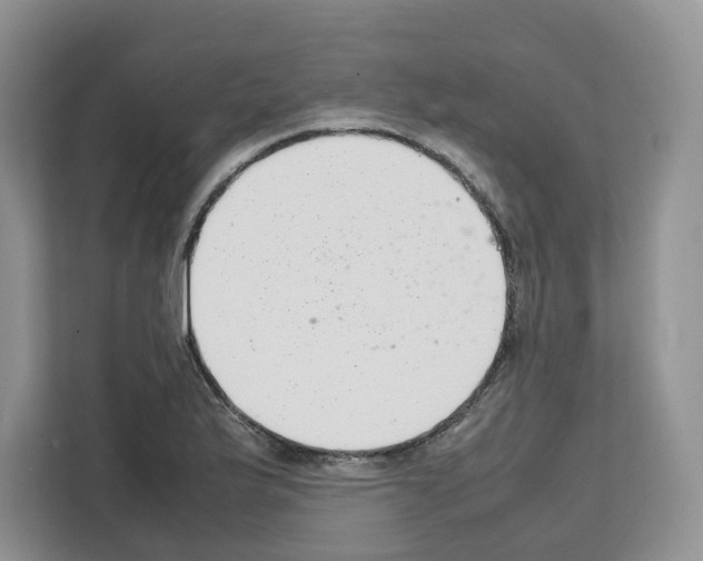 X0000111661175200908281103