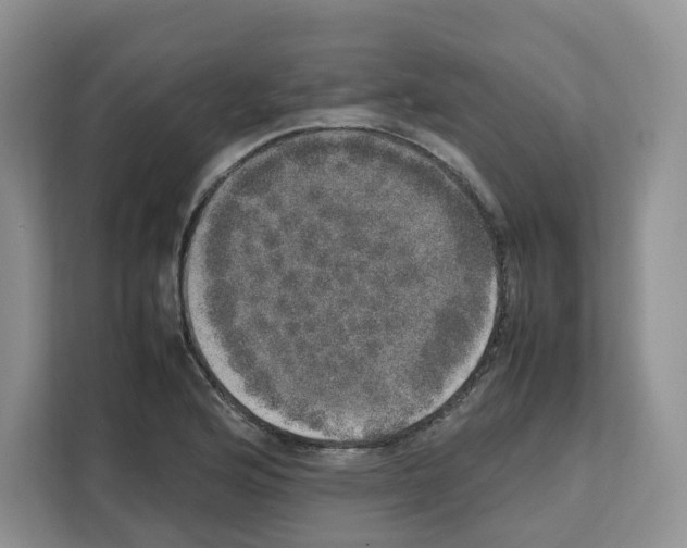 X0000111661176200908281103