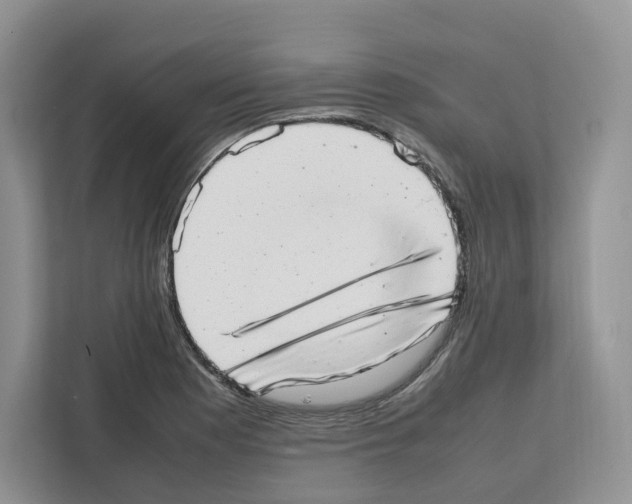 X0000111661177200908281103