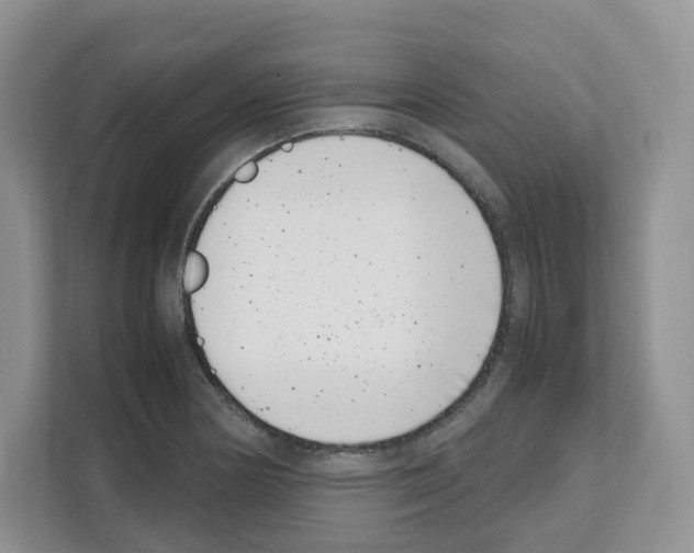 X0000111661178200908281103