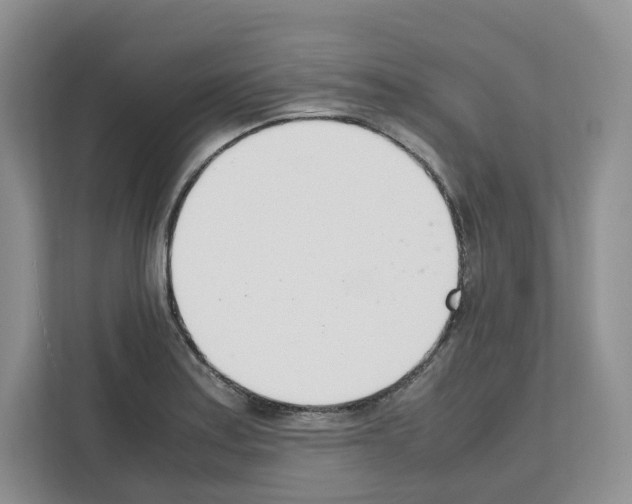 X0000111661179200908281103