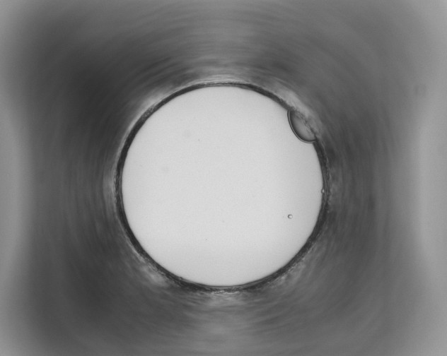 X0000111661181200908281103