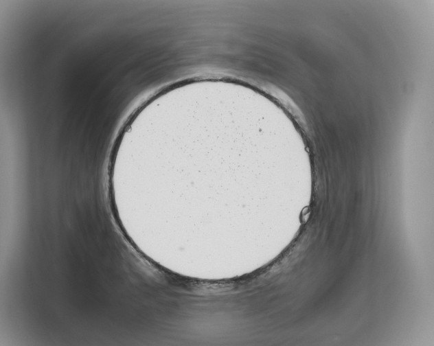 X0000111661183200908281103