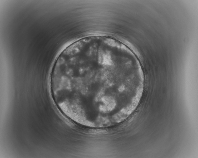 X0000111661187200908281103