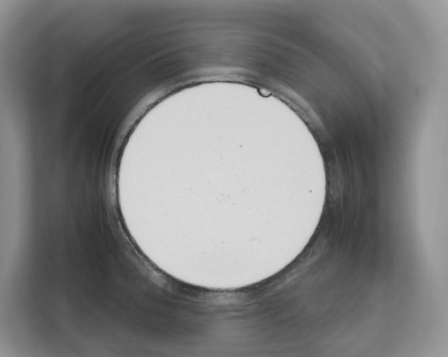 X0000111661188200908281103