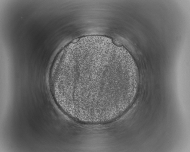 X0000111661189200908281103