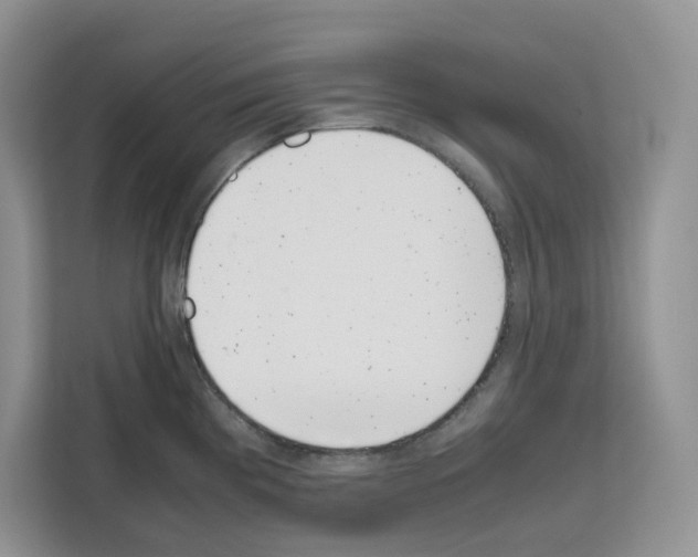 X0000111661193200908281103