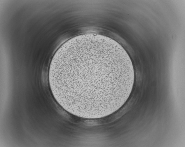 X0000111661194200908281103