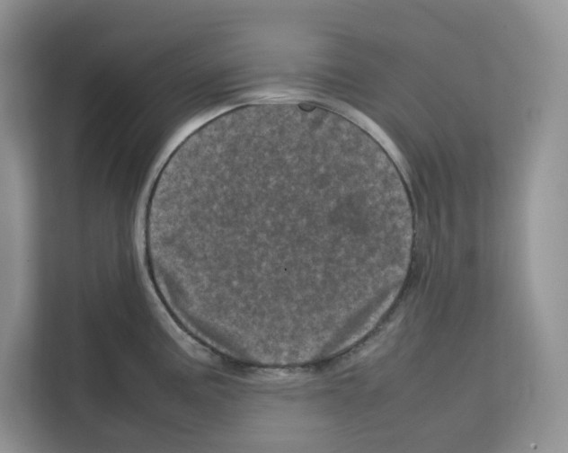 X0000111661195200908281103