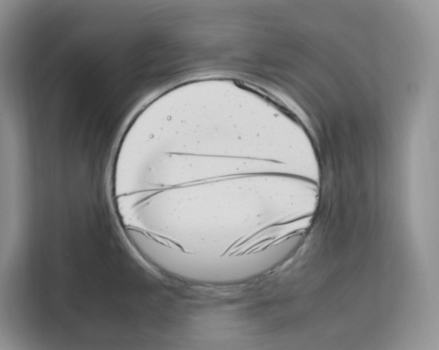 X0000111661197200908281103