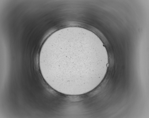 X0000111661198200908281103