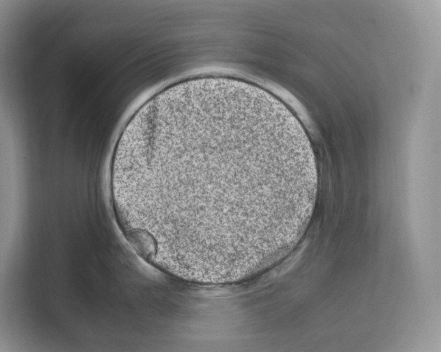 X0000111661199200908281103