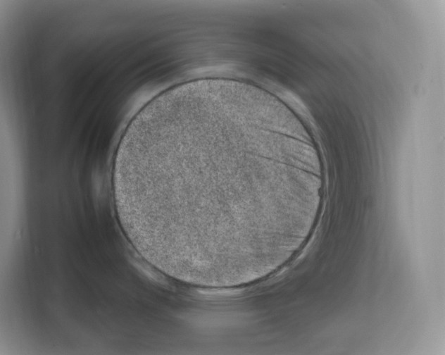 X0000111661200200908281103