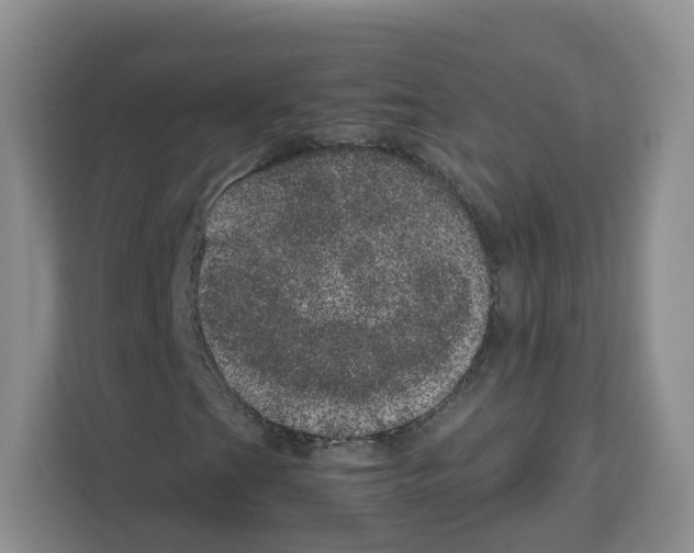 X0000111661201200908281102