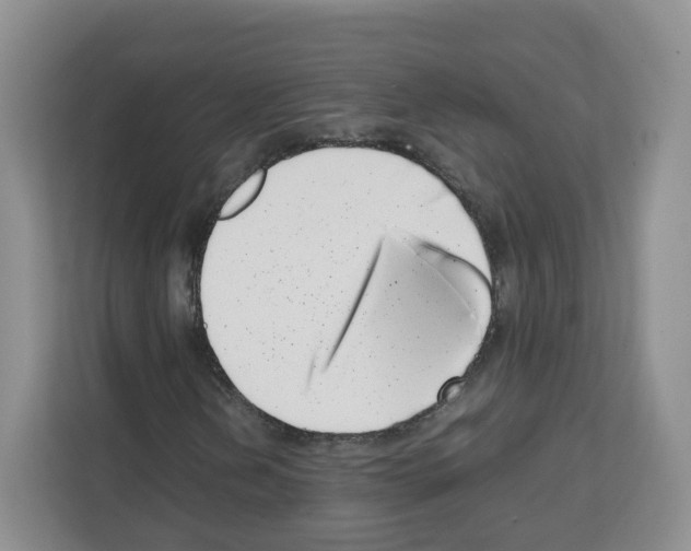 X0000111661202200908281102