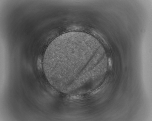 X0000111661203200908281102