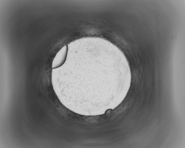 X0000111661205200908281102