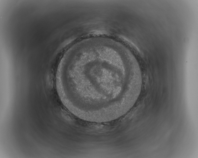 X0000111661207200908281102