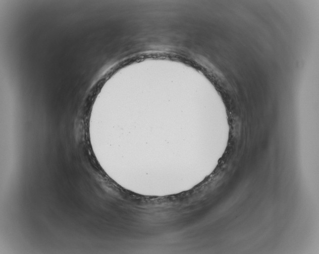 X0000111661208200908281102