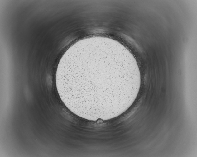 X0000111661209200908281102