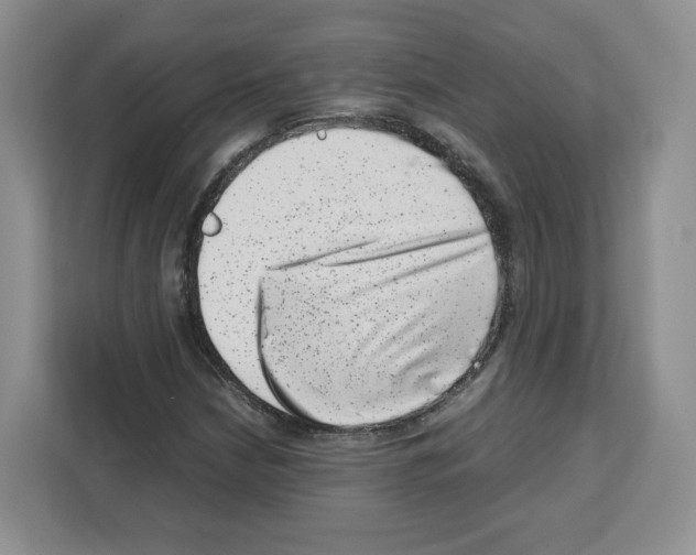 X0000111661210200908281102