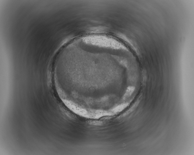 X0000111661211200908281102