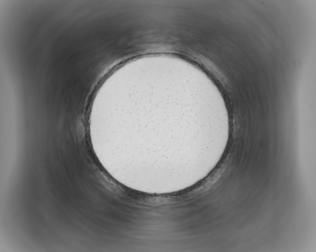 X0000111661212200908281102