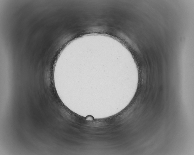 X0000111661213200908281102