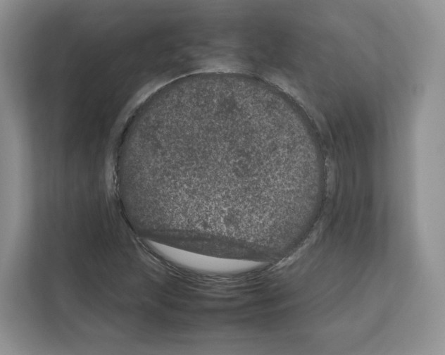 X0000111661215200908281103