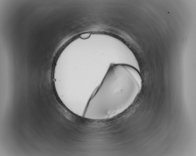 X0000111661216200908281103