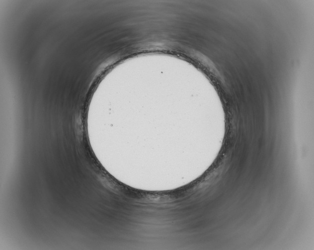 X0000111661218200908281103