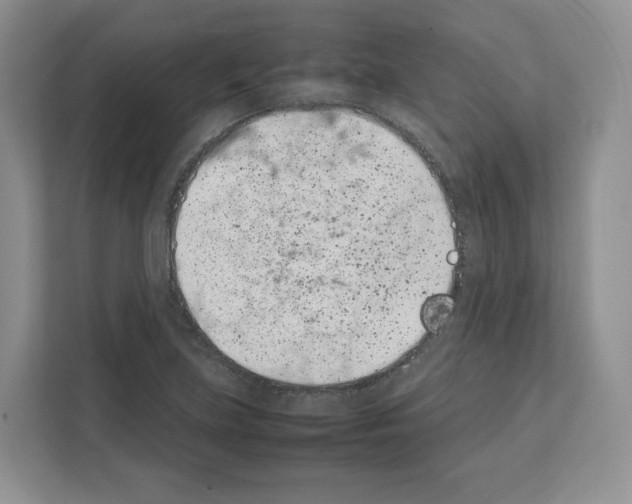 X0000111661219200908281103