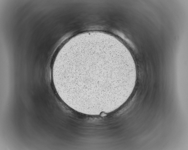 X0000111661221200908281103