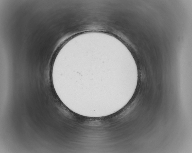 X0000111661222200908281103