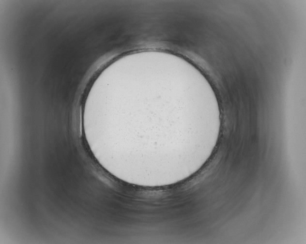 X0000111661223200908281103