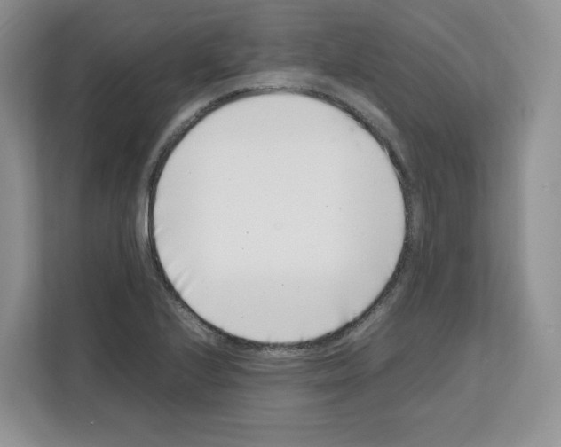 X0000111661224200908281103